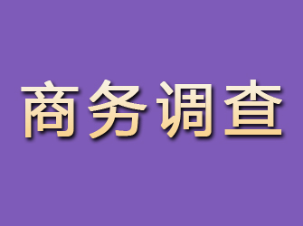 介休商务调查